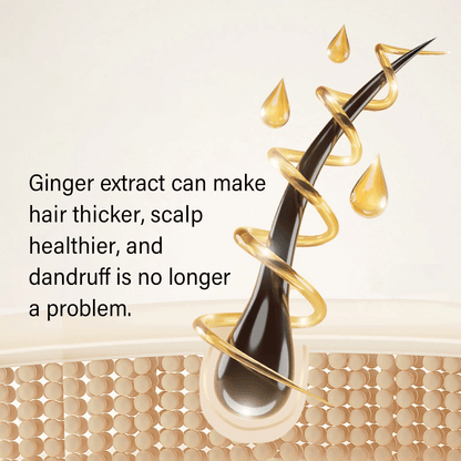Gingerra™️Ginger Extract Anti-Hairfall Shampoo (Pack of 3)